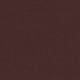 Burgundy Color Package Interior